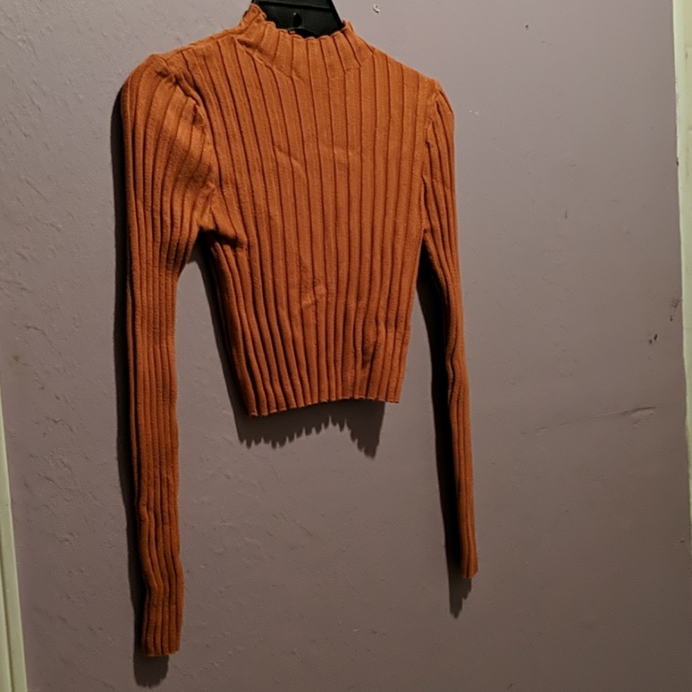 Long Sleeve Tan Crop